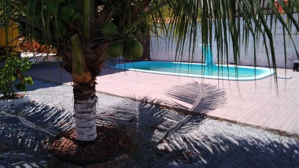 Zona de piscina con una palmera y una terraza de concreto.