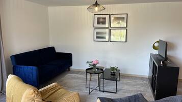 Télévision, livres