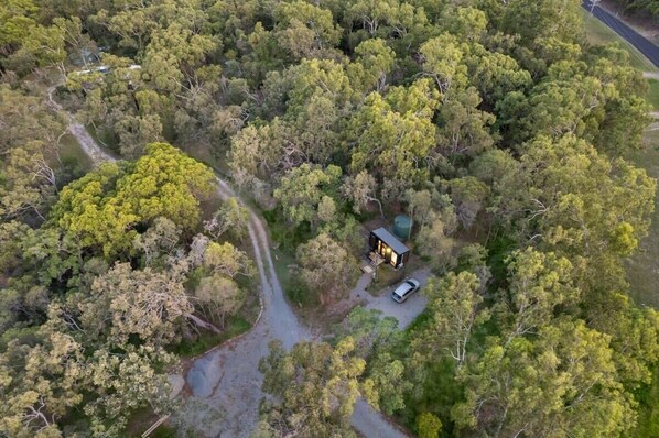 Un chalet isolé, entouré d’une forêt dense, accessible par un chemin étroit.