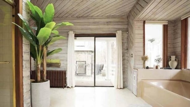A modern interior with a large potted plant, a sliding glass door leading to a balcony, and a bathtub. - The 212 Escape (Woodstock)