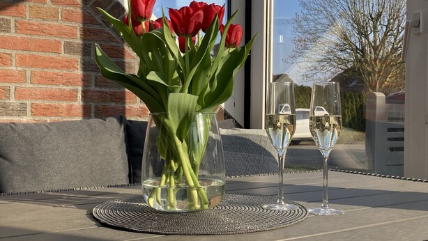 A table with a vase of red tulips, two wine glasses, and a woven placemat. - North Sea coast, charming Frisian house with fireplace, conservatory, sauna, beach chair (Wangerland)