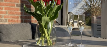 North Sea coast, charming Frisian house with fireplace, conservatory, sauna, beach chair