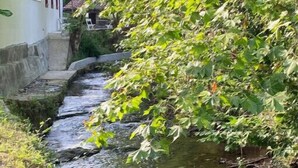 Un stretto canale con scalini che vi conducono, circondato da vegetazione e un edificio sullo sfondo.