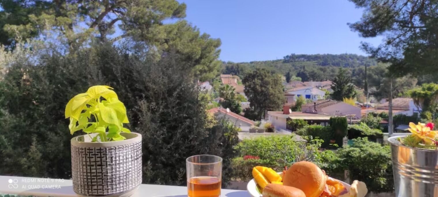 A table with a potted plant, a glass of beverage, and a plate of food, overlooking a residential area with houses and trees.