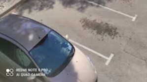 Um estacionamento com uma árvore, um carro e um edifício ao fundo.