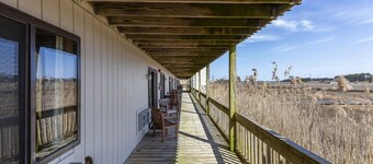 Only 5 min to Assateague National Seashore!