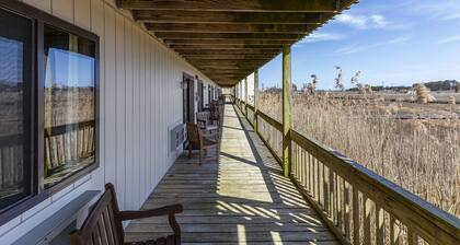 Only 5 min to Assateague National Seashore!