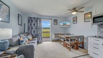 平板电视、DVD 播放器