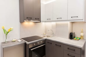 Apartment | Private kitchen | Full-size fridge, oven, stovetop, electric kettle