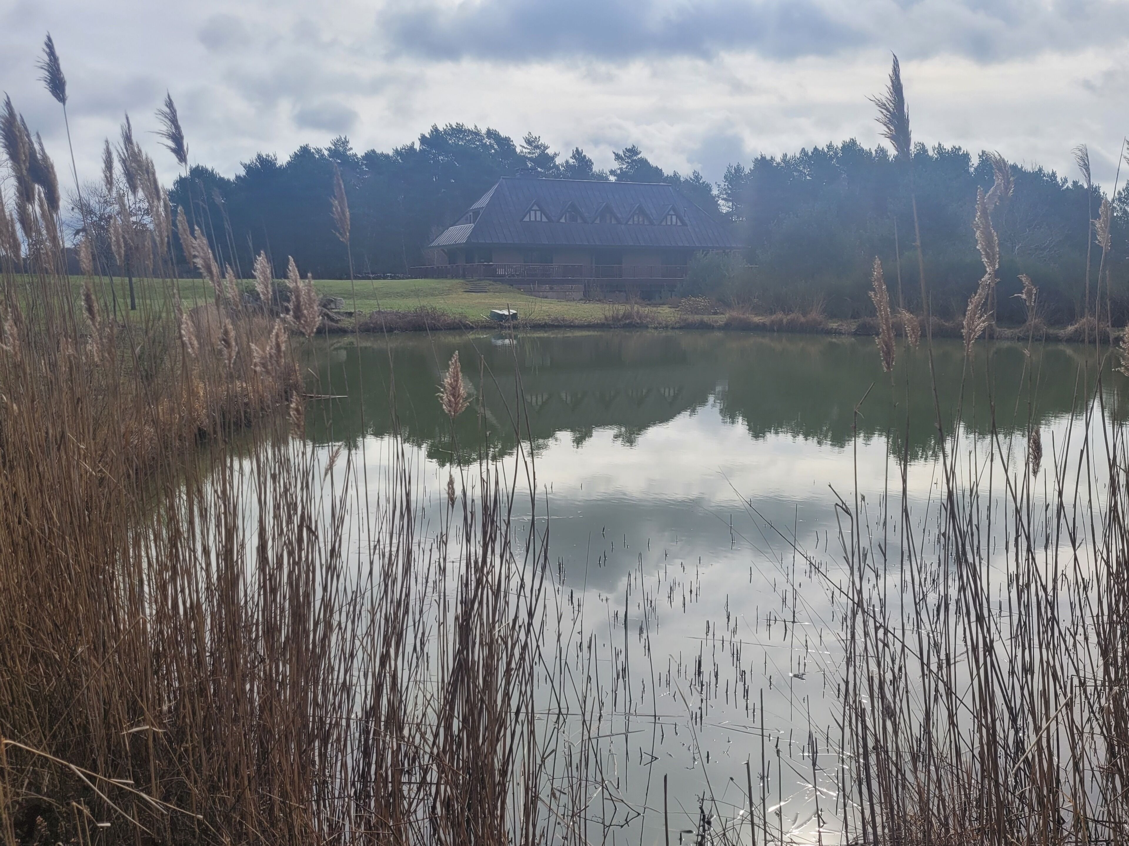 Un étang paisible, avec de hautes herbes au premier plan, une jetée en bois s’avançant dans l’eau et, au fond, un bâtiment rustique surmonté d’un toit en métal.