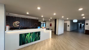 Sınıflandırılmamış resim, 17 üzerinden 5, düğme
