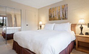 1 soverom og internettilgang