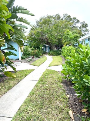 A pathway leading to a building with a number '10' sign, surrounded by lush greenery and trees.