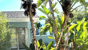 Ein weißer Holzzaun, ein Haus mit einem Fenster und Bananenstauden.