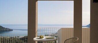 Stella in the Village Studios