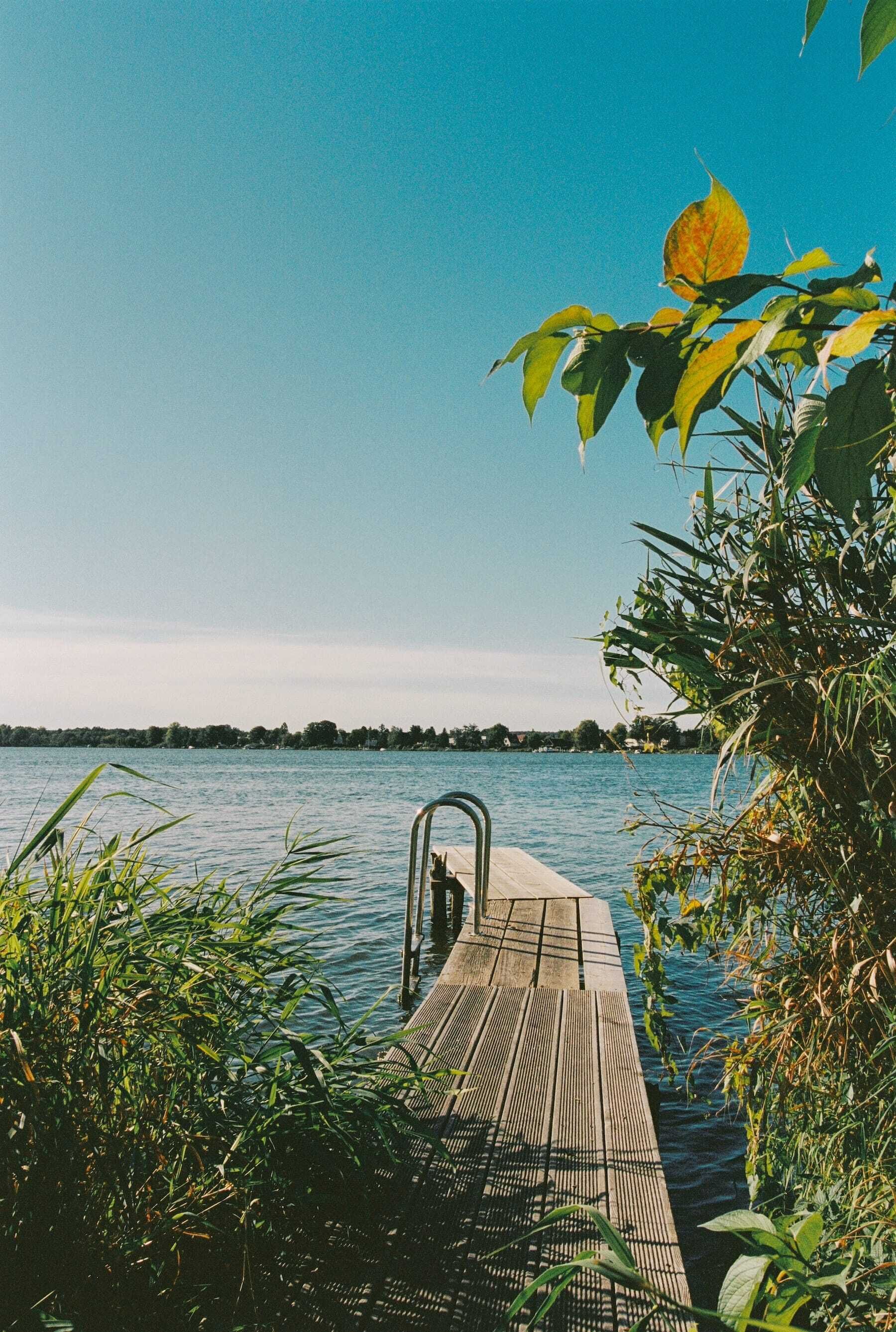 Une jetée en bois s’étendant dans une étendue d’eau calme, entourée d’une végétation luxuriante.