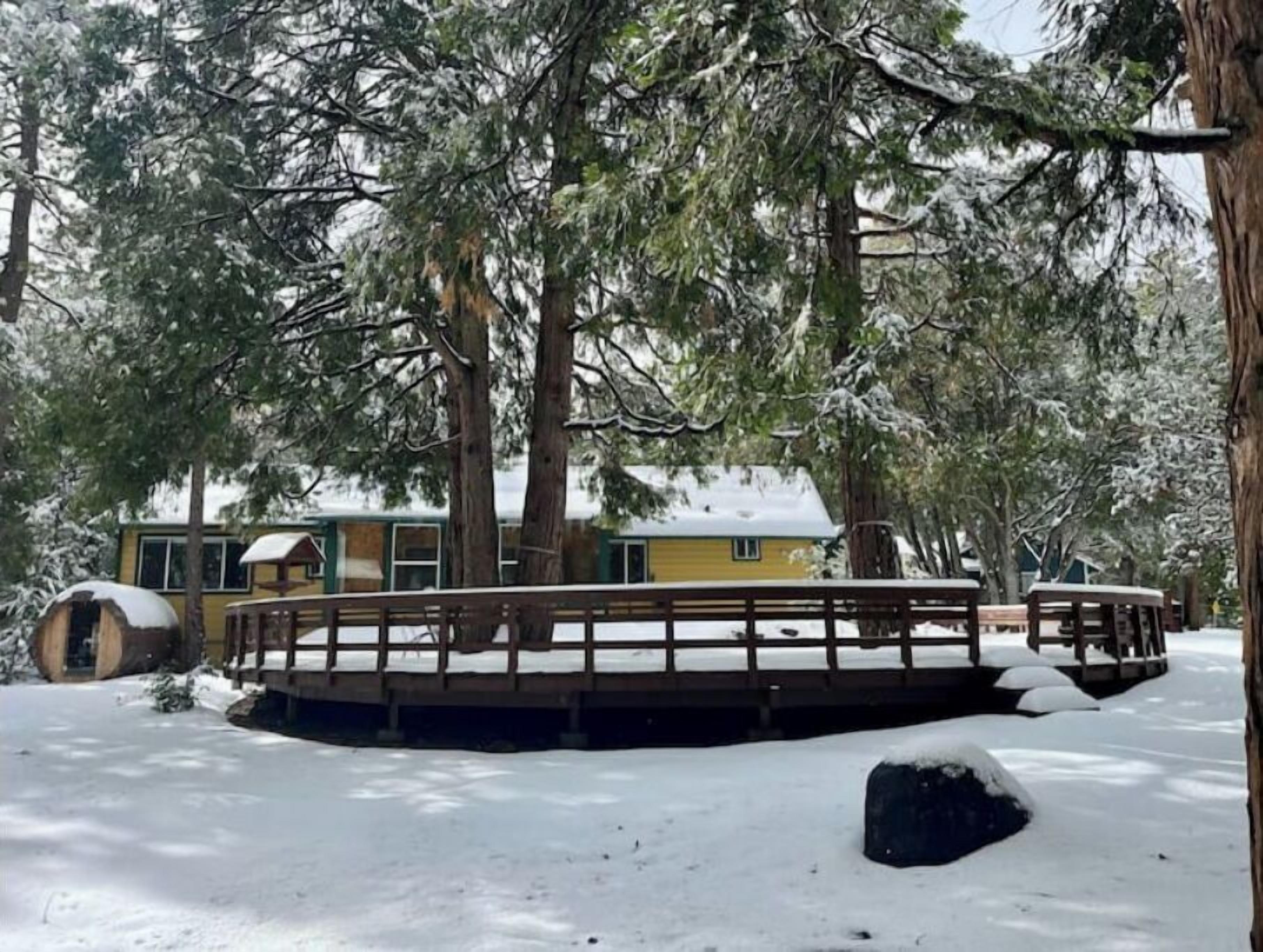 テラス / パティオ