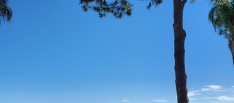 PETS STAY FREE Camp St. Cabanas on Lake Dora Unit 2