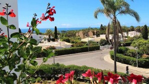 Un quartier résidentiel avec une route sinueuse, des palmiers et une vue sur la mer.