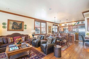 TV, fireplace, offices - Sunnyside Living, One Block off Colorado Avenue Downtown Telluride (Telluride)