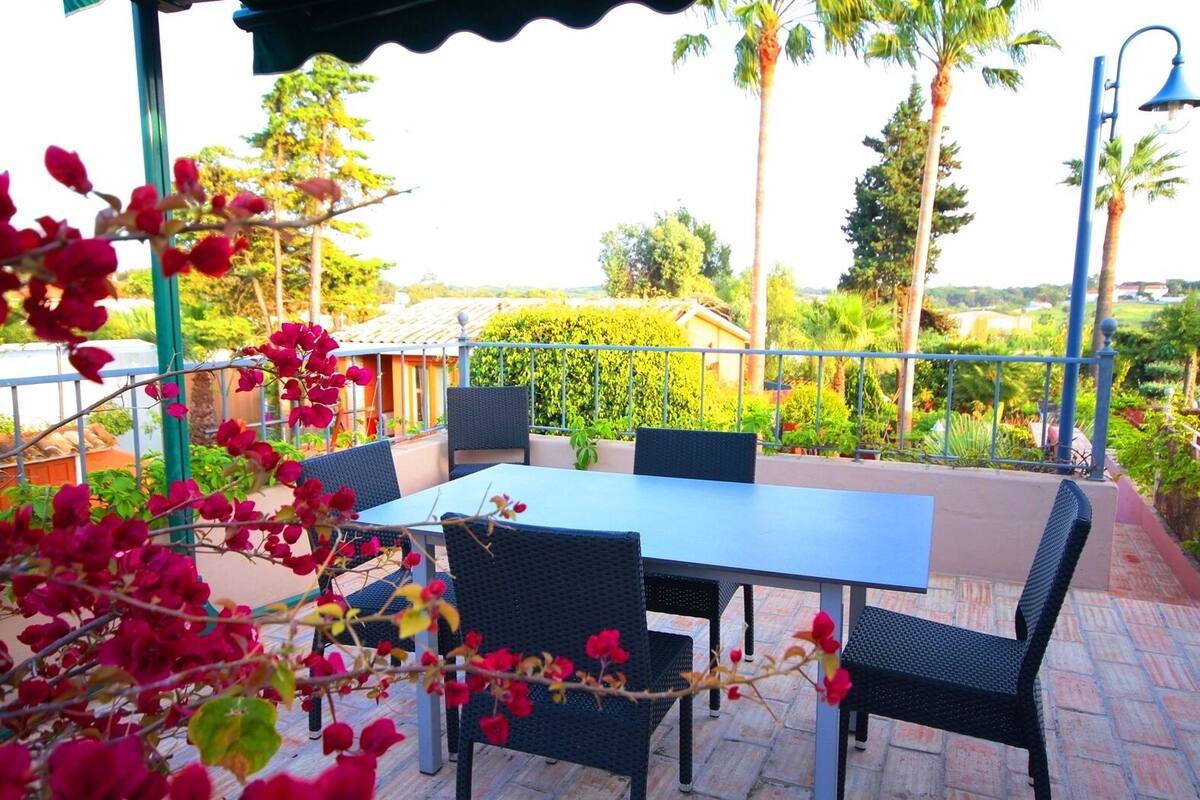 Un patio al aire libre con una mesa y sillas, rodeado de follaje y palmeras.