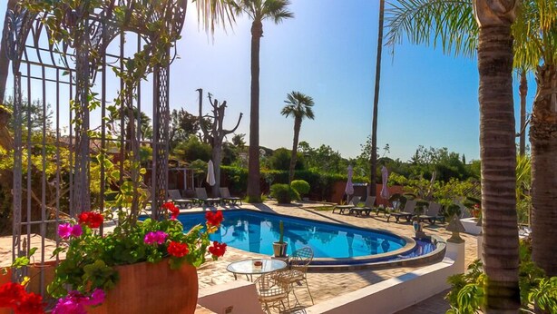 A swimming pool with a sunken seating area, surrounded by palm trees and potted plants. - Quinta dos Amigos (Loulé)