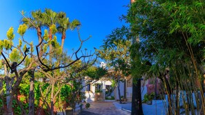 A pathway leading to a building surrounded by lush greenery and palm trees. - Quinta dos Amigos (Loulé)