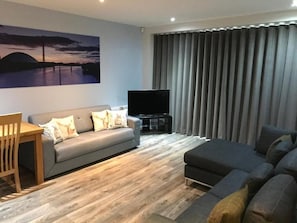 Flat-screen TV
