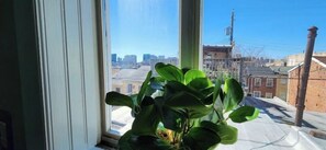 Interior - Cozy Townhome in Baltimore (Baltimore)