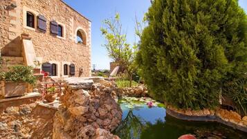 House | Property grounds