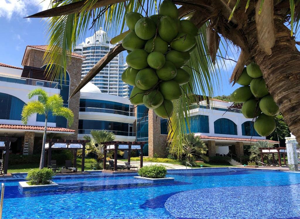 Pearl Club on the beach (require extra fee)