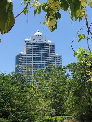 Exterior - APARTMENT  BETWEEN OCEAN AND RAIN FOREST - Beachside apartment with outdoor pool (Panama City)