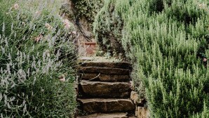 A stone staircase surrounded by lush greenery, leading up to a building with a tiled roof.
