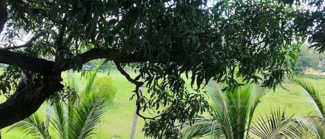 Blick von der Unterkunft