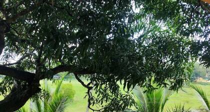 Villa Emmanuel 1BHK Holiday home (1) nr beach,Goa