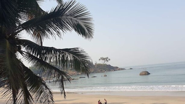 A beach with rows of sun loungers and umbrellas, palm trees, and a calm sea.