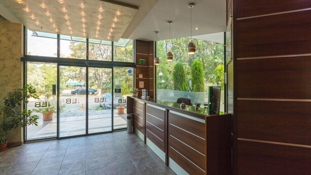 Zona de recepción con puerta de vidrio que da al exterior, mostrador de recepción y plantas en macetas.
