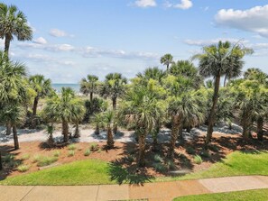 A landscaped area with palm trees and a view of the ocean.