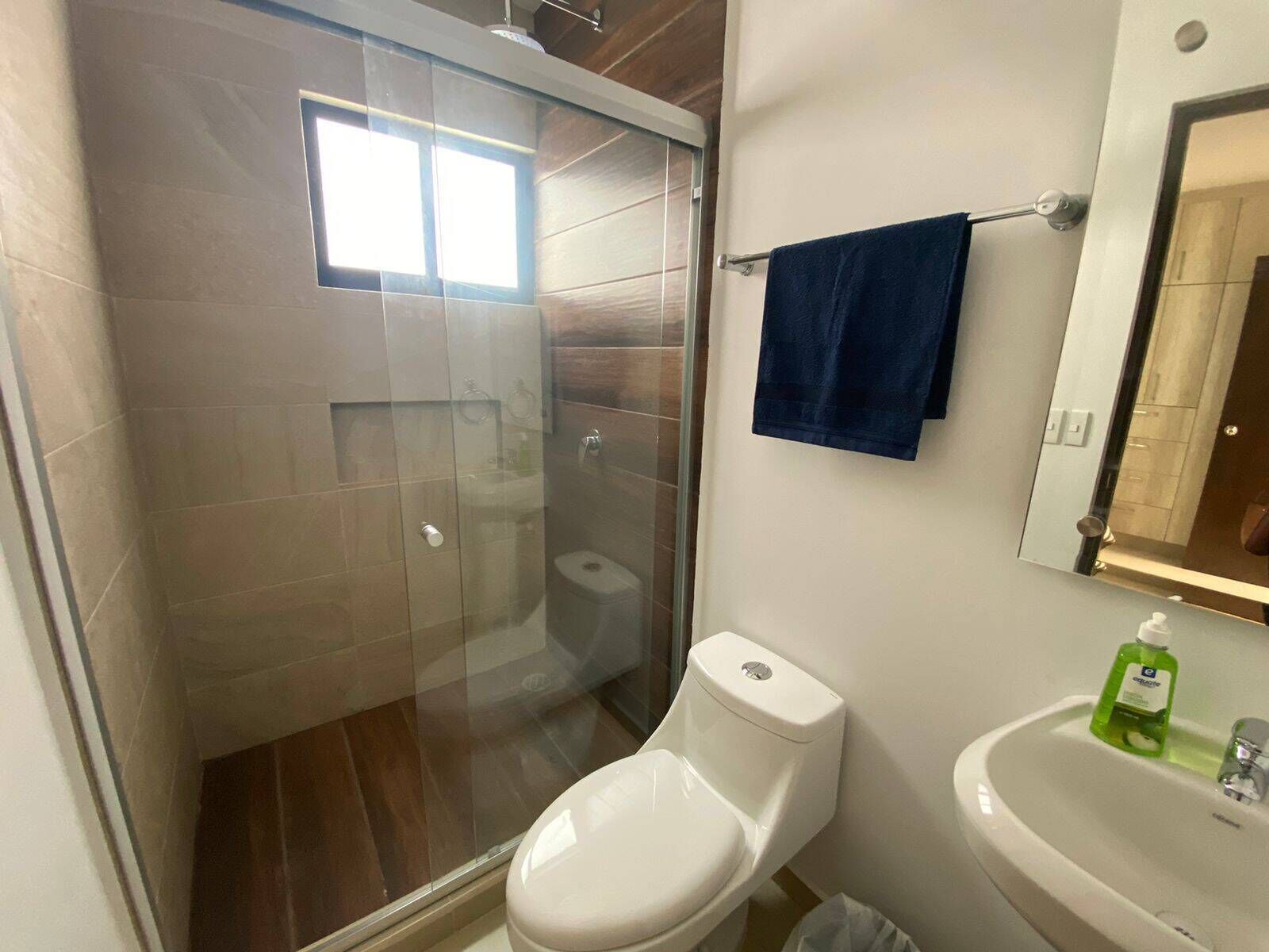 A bathroom with a glass-enclosed shower, a toilet, a sink, and a mirror.