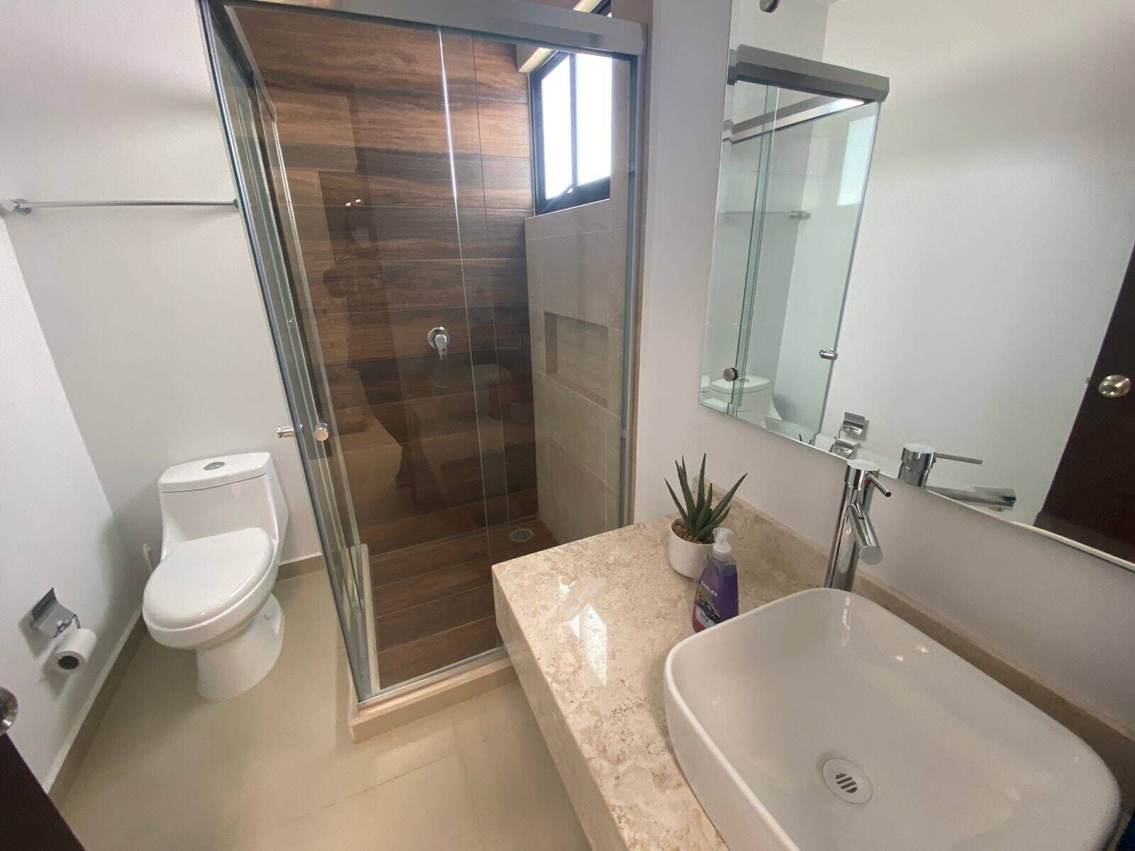 Et moderne badeværelse med et glasbadeværelsesafskærmning, et hvidt toilet, en vask med spejl og en potte med aloe vera.