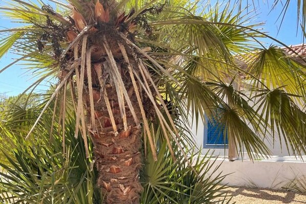 Ferienhaus | Unterkunftsgelände