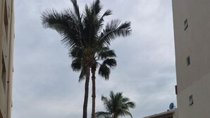 Um pátio com piscina, palmeiras e edifícios de vários andares com varandas.