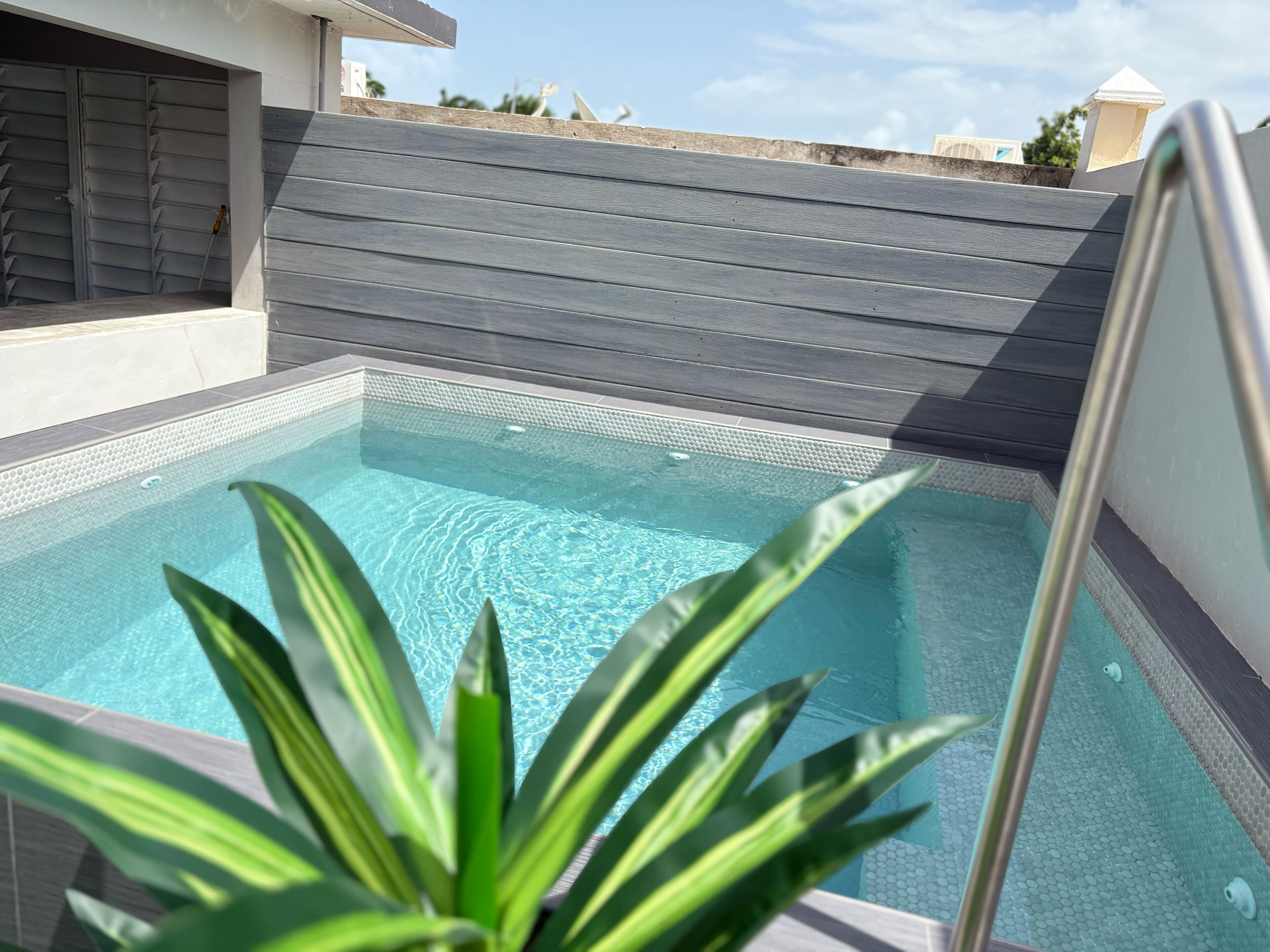 A swimming pool with a tiled edge and a plant in the foreground.