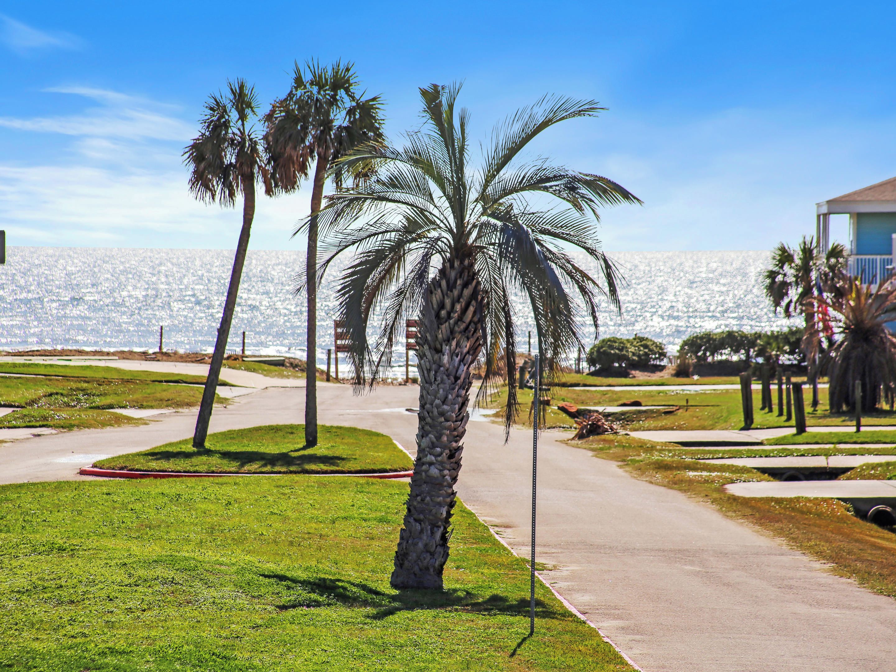 A pathway lined with palm trees leading to a building with a view of the ocean.