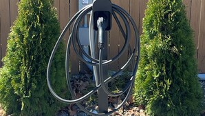 A utility box with a cable connected to it, set against a wooden fence and two small trees. - Patty's Place - Private and Convenient Apartment near Downtown (Frederick)