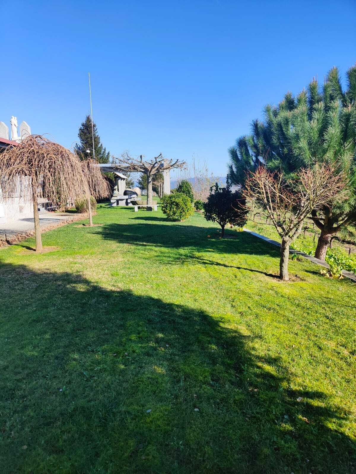 Ein gepflegter Rasen mit einem Gazebo, einem kleinen Baum und einer Steinstruktur im Hintergrund.