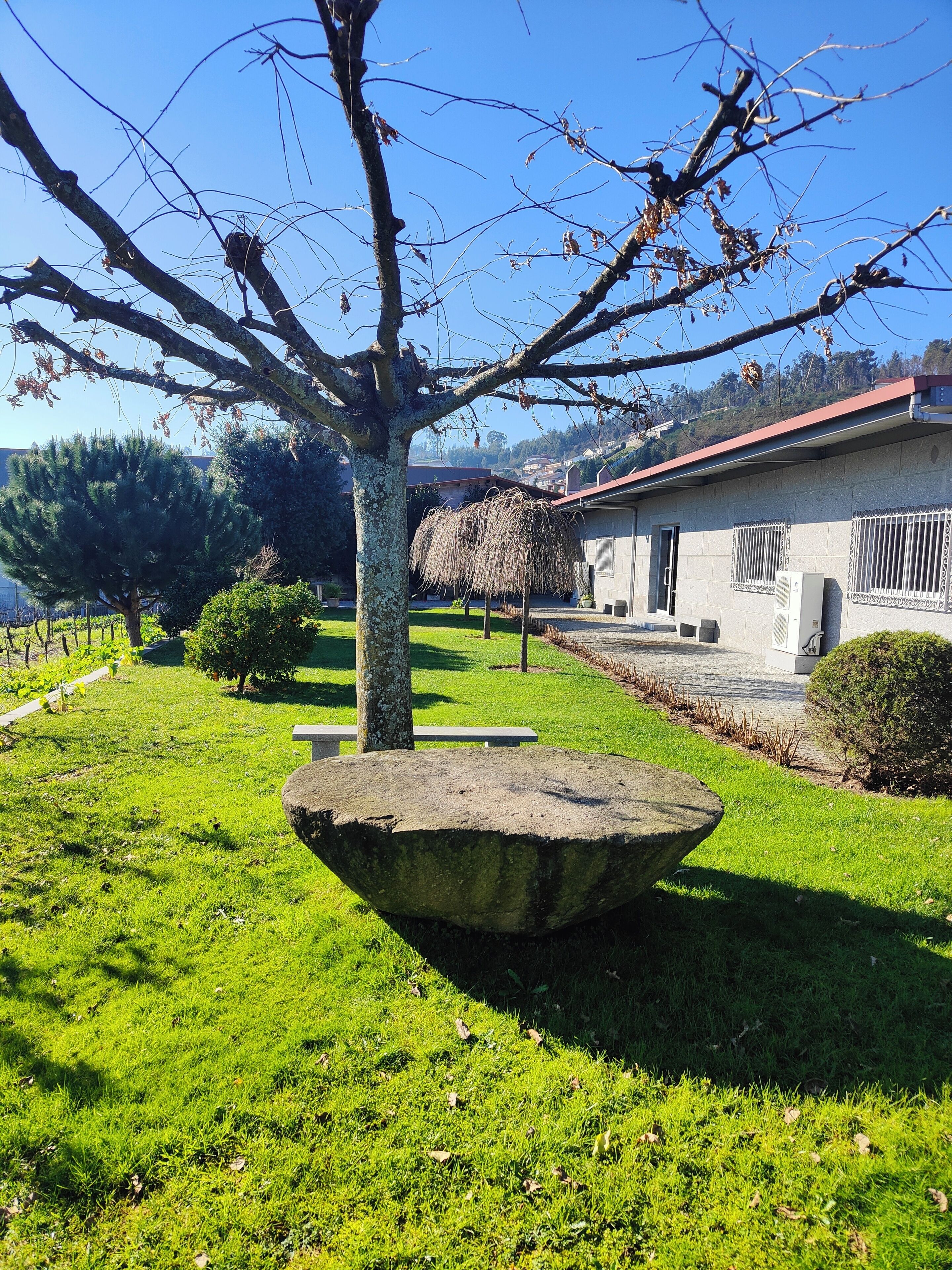 Un banc en pierre se trouve dans un espace verdoyant bien entretenu, avec un arbre et un bâtiment en arrière-plan.