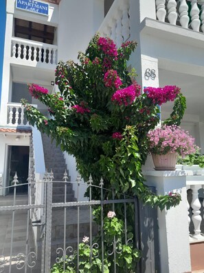 Exterior detail - Apartment Lara Tribunj Sea View (Tribunj)