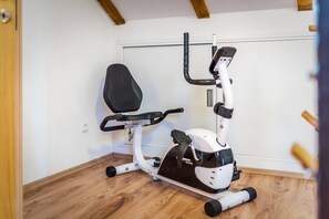 Fitness facility - Rural House Gluić - with outdoor pool (Bogatic)