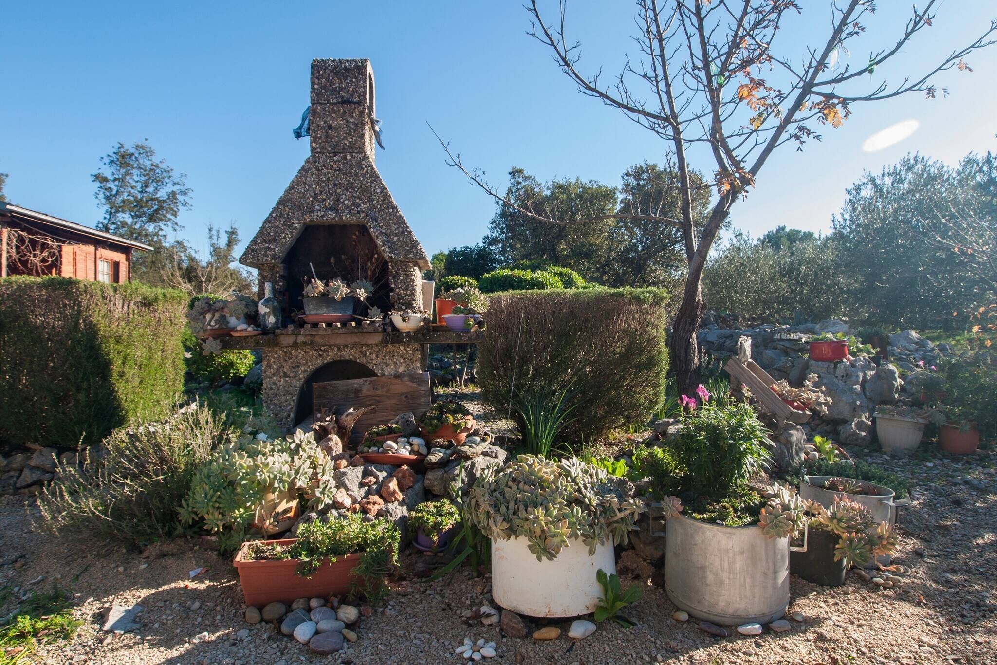Ein Garten mit einem steinernen Außenofen, verschiedenen Kübelpflanzen und einer rustikalen Holzkonstruktion.